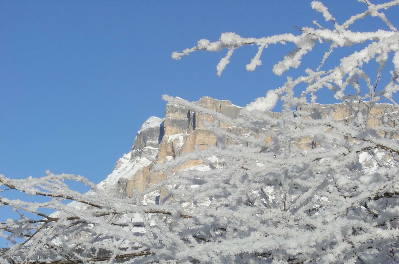 فندق Ciasa Alfri لا فيلا المظهر الخارجي الصورة